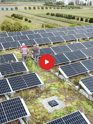 Náhled videa: dva lidé stojící ve fotovoltaickém systému na zelené střeše