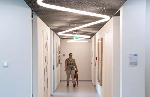 Picture of a woman with a dog in an illuminated hallway