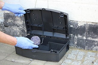 Schädlingsfalle Bild einer Schädlingsfalle, in der ein Köder hereingelegt wird