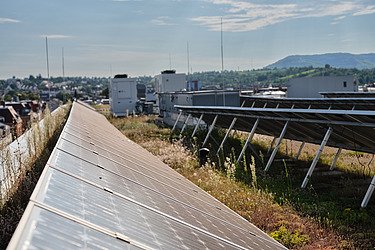 Solární panely na zelené střeše s výhledem na město a kopce v pozadí za slunečného počasí.