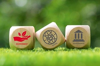Obrázek tří kostek v trávě s vyznačenými kritérii ESG a životním prostředím