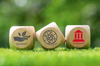 Cube Governance Picture of three cubes in the grass with the ESG criteria and governance marked