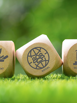 Picture of three cubes in the grass with the ESG criteria