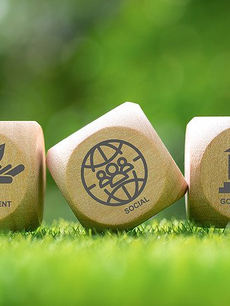 Picture of three cubes in the grass with the ESG criteria