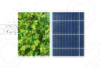 Graphic eco2solutions Collage of bushes, a photovoltaic system and the letters C, O, 2