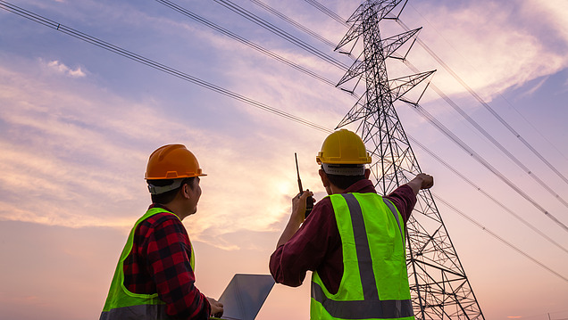 Picture of a power line and two employees from the frog's perspective