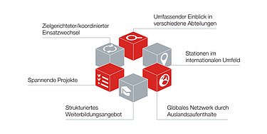 Anordnung von sechs Würfeln Die Inhalte der Würfel sind: Zielgerichteter/koordinierter Einsatzwechsel Umfassender Einblick in verschiedene Abteilungen Stationen im internationalen Umfeld Globales Netzwerk durch Auslandsaufenthalte Strukturiertes Weiterbildungsangebot Spannende Projekte