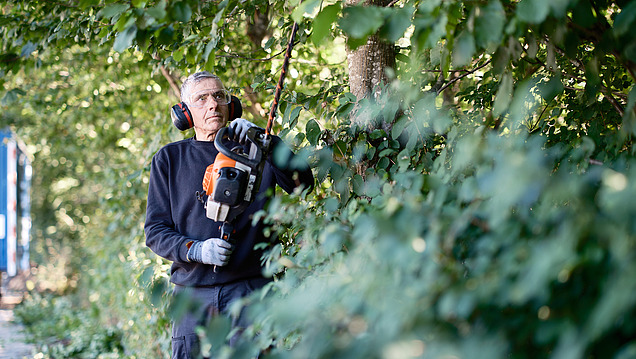 Bild von einem Mann, der mit einer Schere eine Hecke schneidet