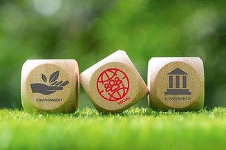 Obrázek tří kostek v trávě s označením kritérií ESG a sociálních kritérií